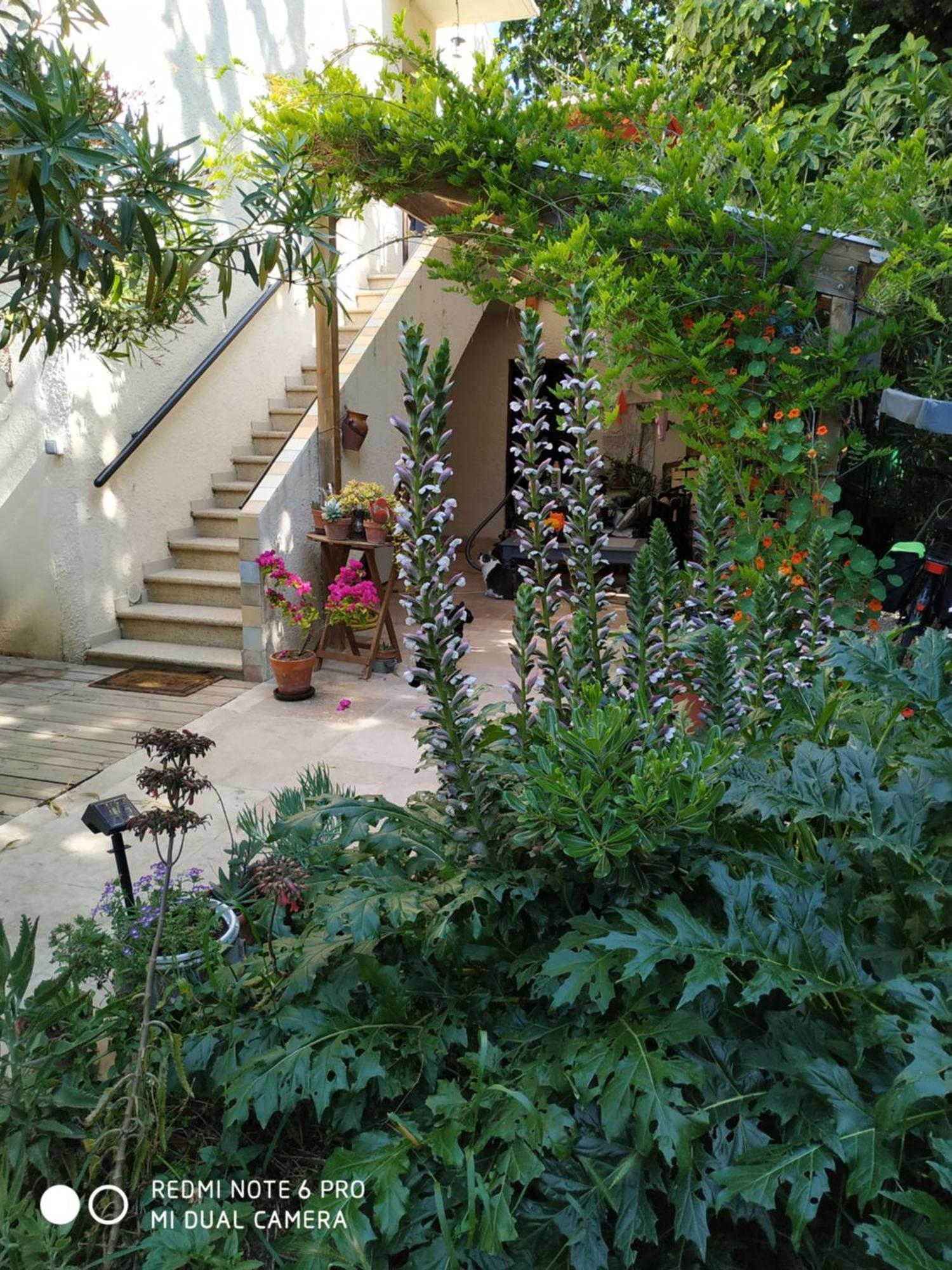 En Ville Avec Un Air De Campagne Arlés Exterior foto